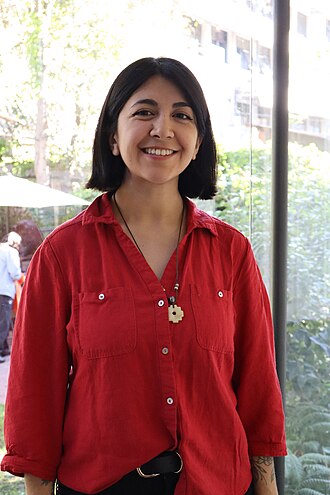 Foto de Michelle Collipal