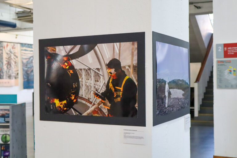 Se premiaron las imágenes ganadoras del concurso  WikiCiencia 2025