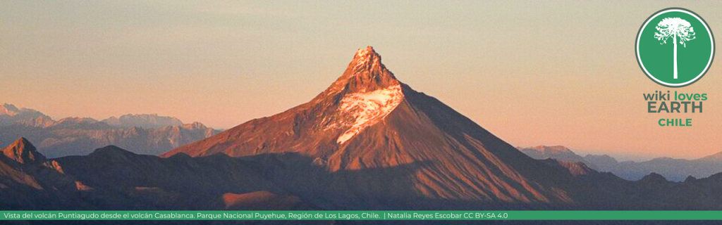 Revisa las imágenes ganadoras del concurso fotográfico Wiki Loves Earth Chile 2026